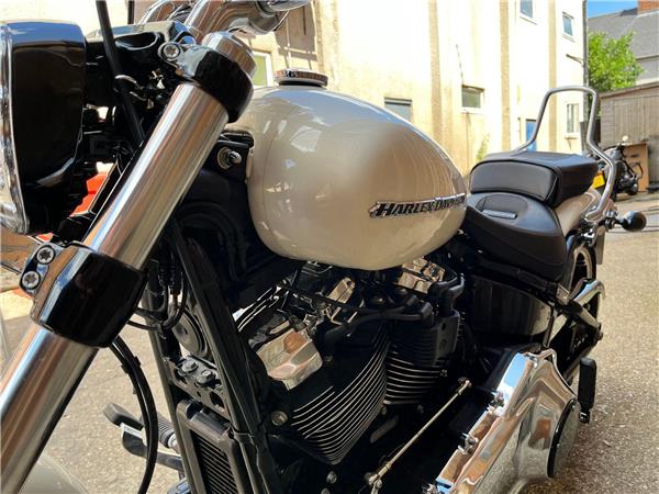 2019 Harley-Davidson Softail