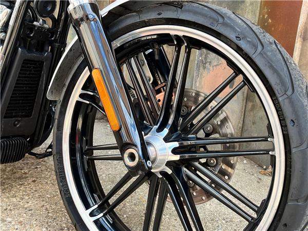 2019 Harley-Davidson Softail