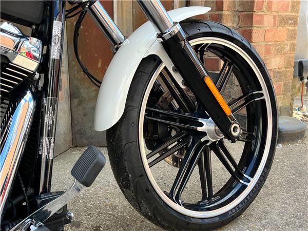 2019 Harley-Davidson Softail