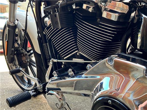 2019 Harley-Davidson Softail