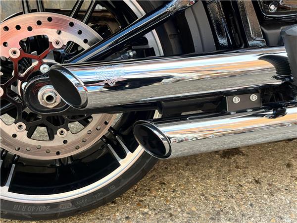 2019 Harley-Davidson Softail