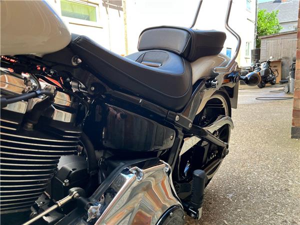 2019 Harley-Davidson Softail
