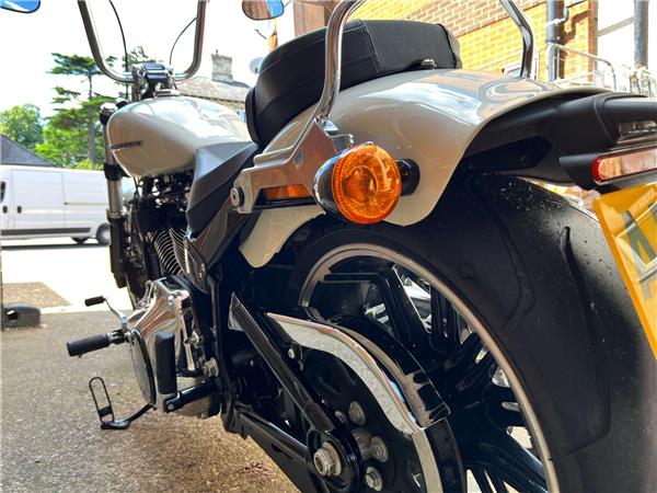 2019 Harley-Davidson Softail