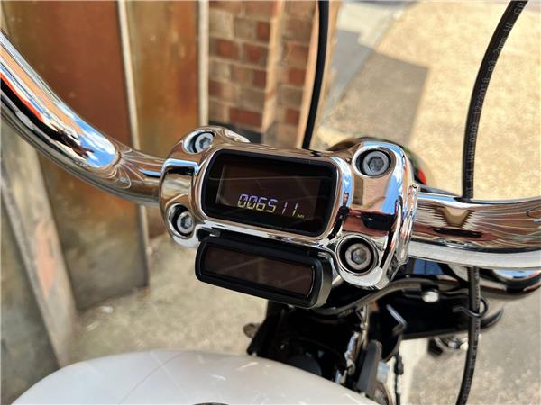 2019 Harley-Davidson Softail