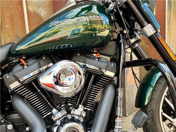 2019 Harley-Davidson Softail