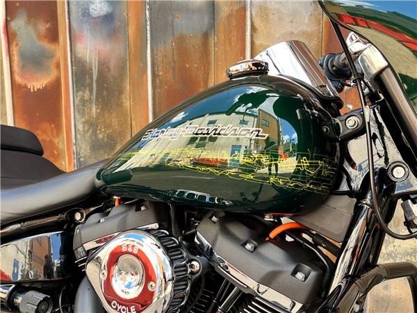 2019 Harley-Davidson Softail