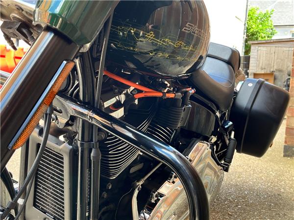 2019 Harley-Davidson Softail
