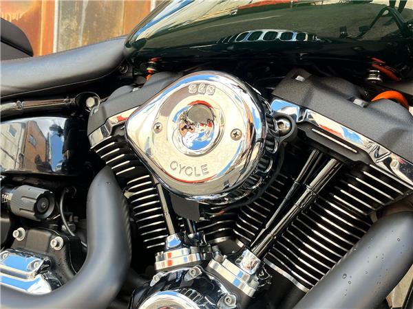 2019 Harley-Davidson Softail