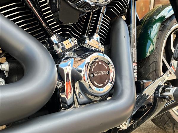 2019 Harley-Davidson Softail