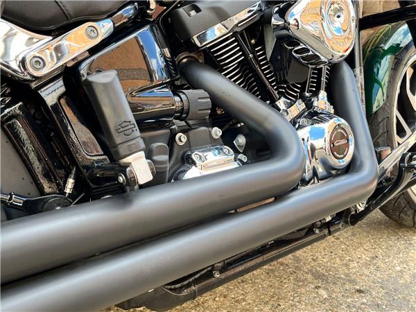 2019 Harley-Davidson Softail