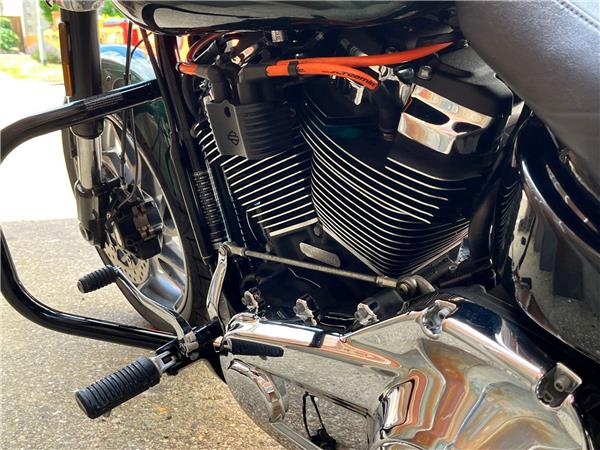 2019 Harley-Davidson Softail