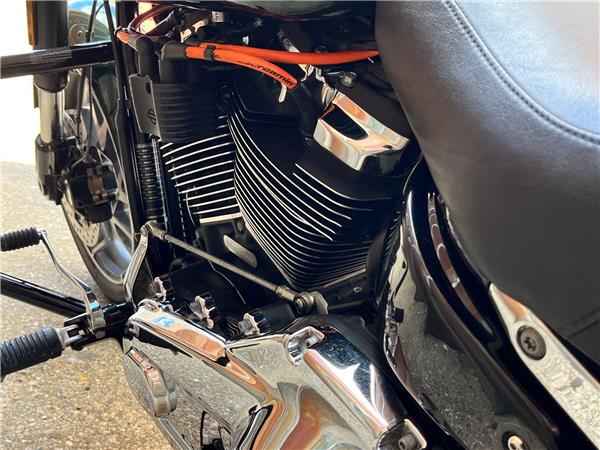 2019 Harley-Davidson Softail