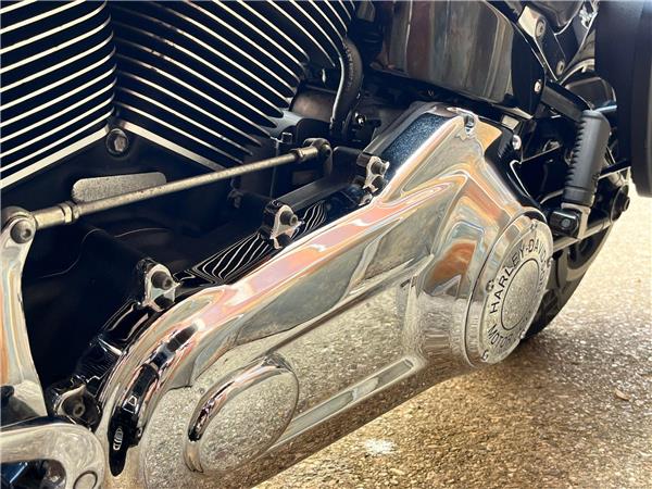 2019 Harley-Davidson Softail