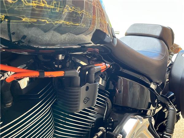 2019 Harley-Davidson Softail