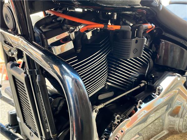 2019 Harley-Davidson Softail