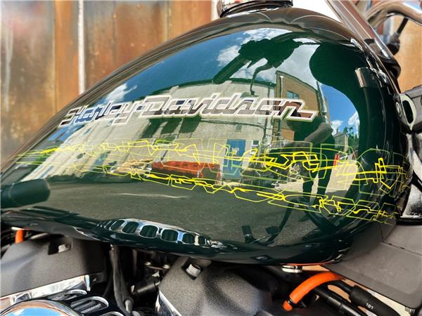 2019 Harley-Davidson Softail
