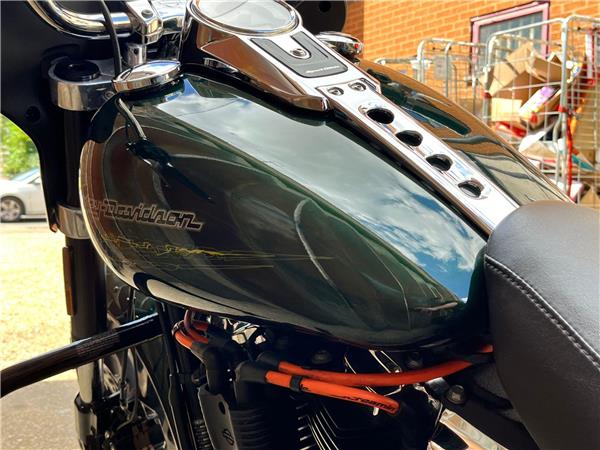 2019 Harley-Davidson Softail