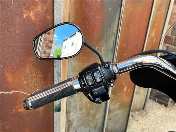 2019 Harley-Davidson Softail