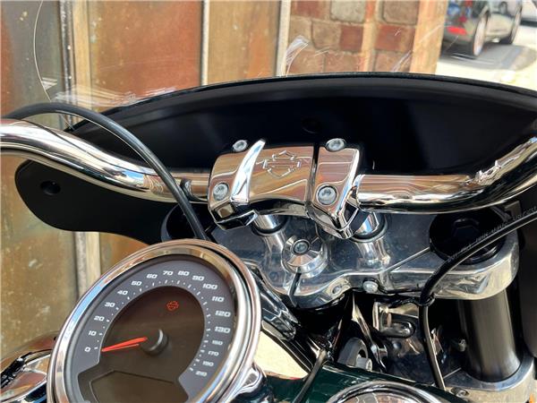 2019 Harley-Davidson Softail