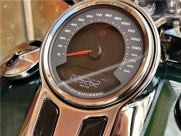 2019 Harley-Davidson Softail