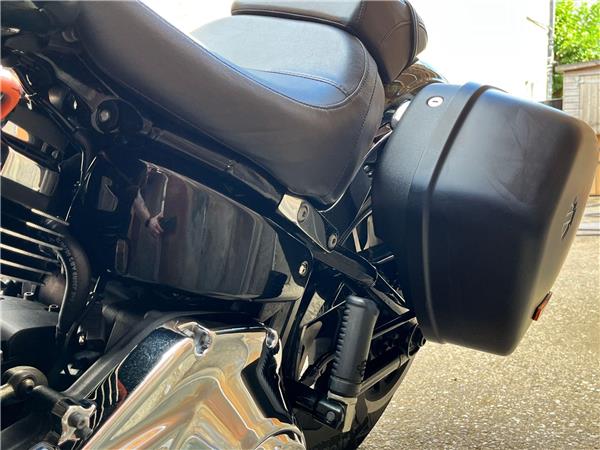 2019 Harley-Davidson Softail