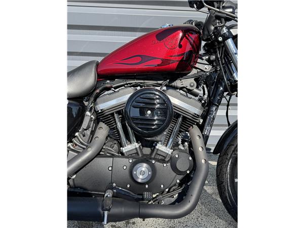 2017 HARLEY-DAVIDSON IRON