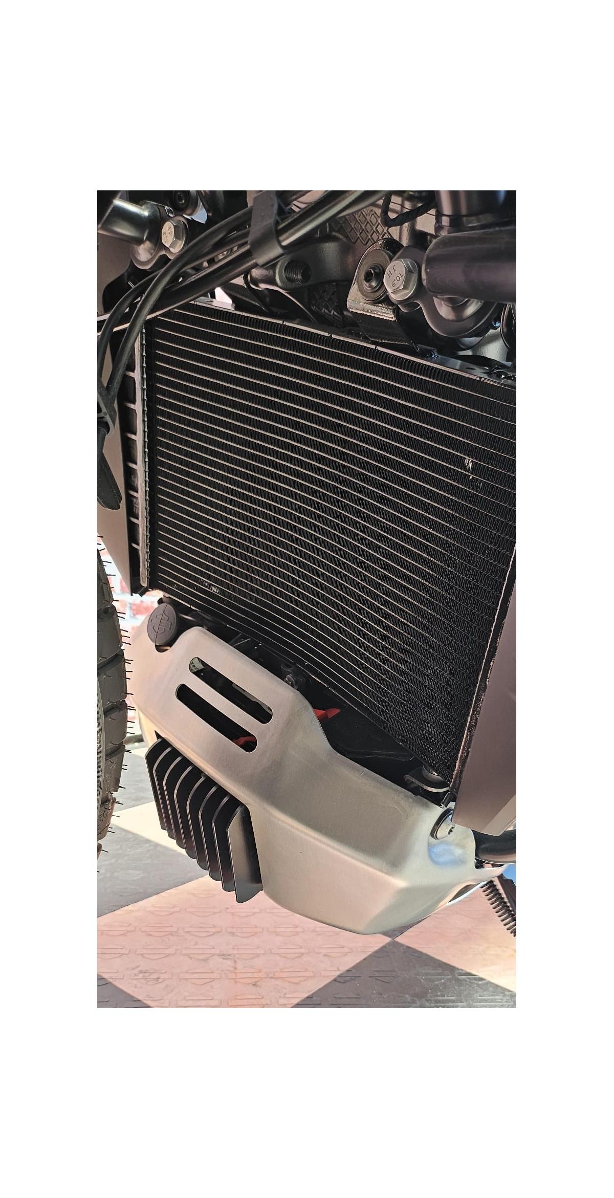 2025 harley-davidson RA Pan America 1250 Special