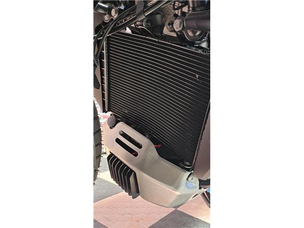 2025 harley-davidson RA Pan America 1250 Special