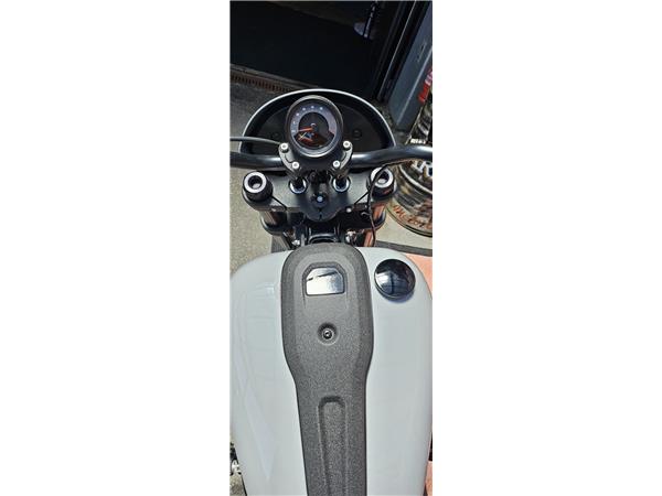 2024 HARLEY-DAVIDSON Softail FXLRS Low Rider S 117