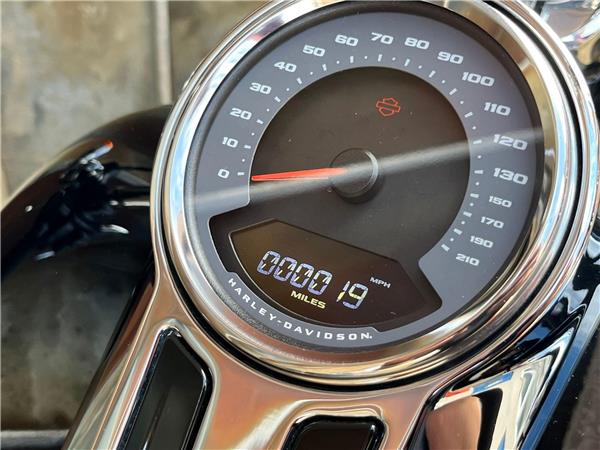 2023 Harley-Davidson Softail