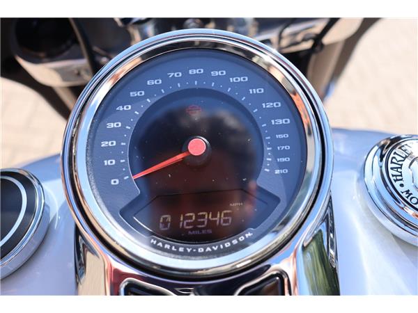 2021 HARLEY-DAVIDSON SOFTAIL FLSB SPORT GLIDE