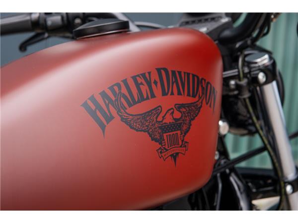 2017 Harley-Davidson Iron 883