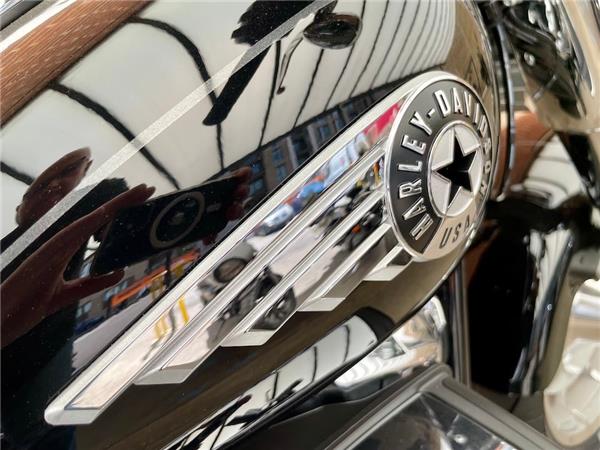 2025 HARLEY-DAVIDSON SOFTAIL FLSTF FAT BOY