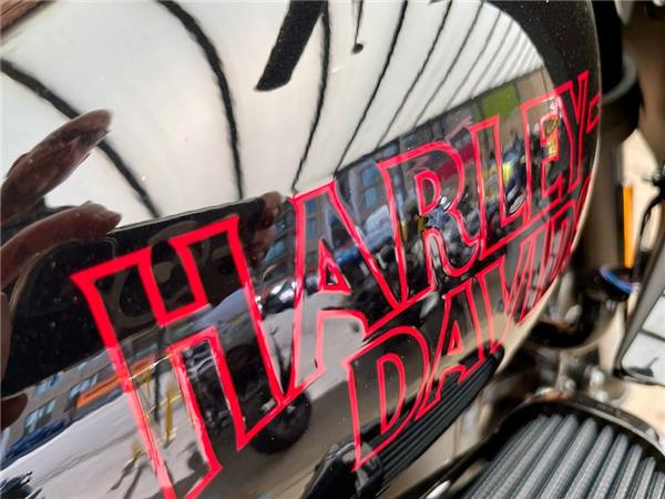 2025 HARLEY-DAVIDSON LOW RIDER ST