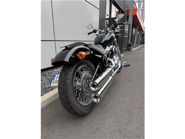 2020 HARLEY-DAVIDSON STANDARD