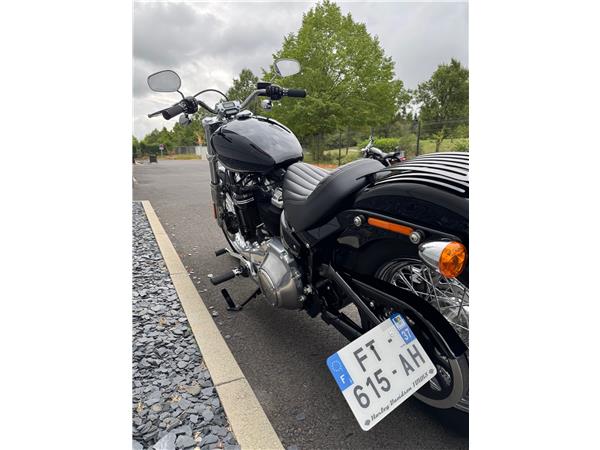 2020 HARLEY-DAVIDSON STANDARD