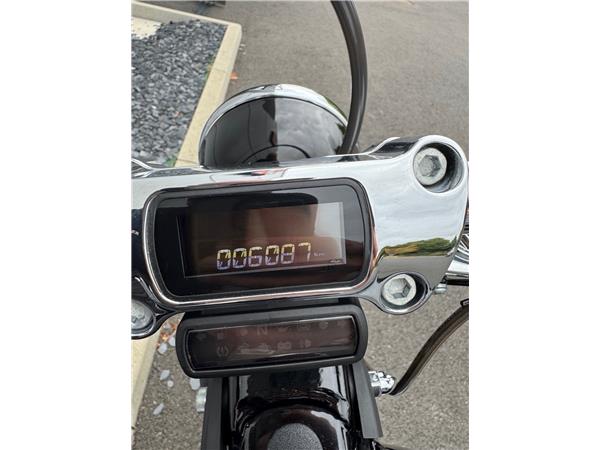 2020 HARLEY-DAVIDSON STANDARD