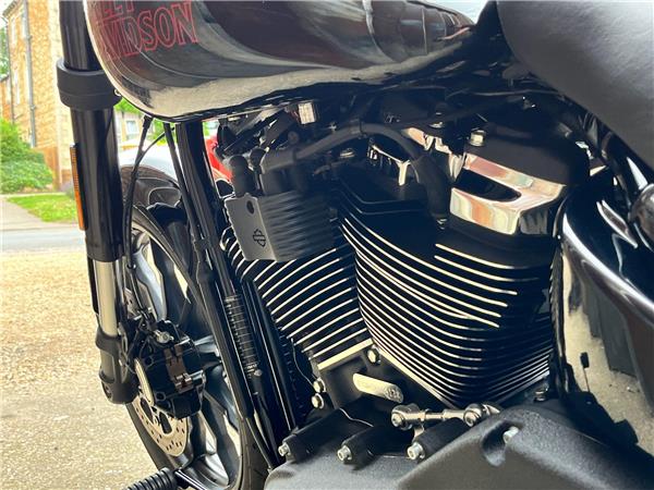 2025 Harley-Davidson Softail