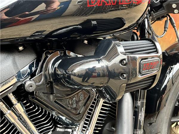 2025 Harley-Davidson Softail