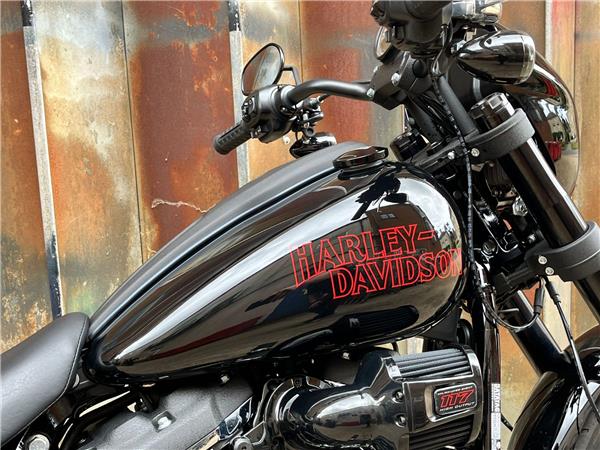 2025 Harley-Davidson Softail