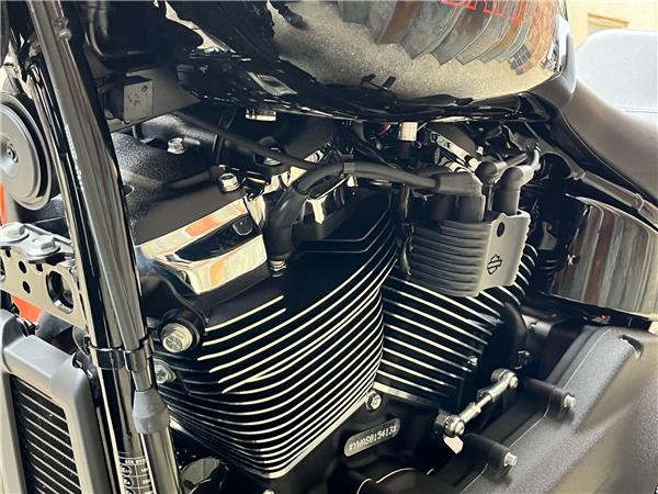2025 Harley-Davidson Softail