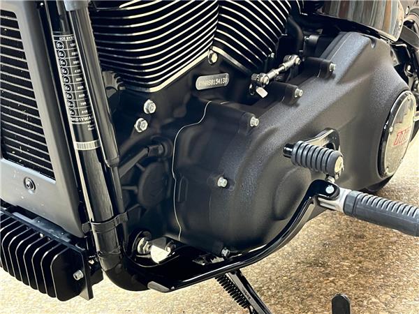 2025 Harley-Davidson Softail