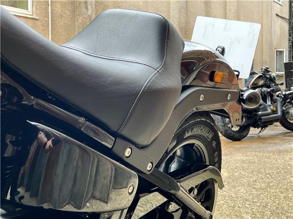 2025 Harley-Davidson Softail