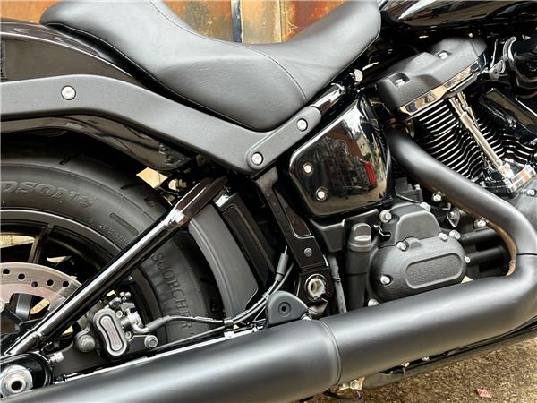 2025 Harley-Davidson Softail