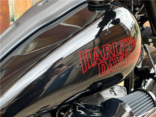 2025 Harley-Davidson Softail