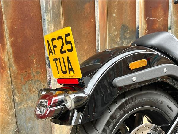 2025 Harley-Davidson Softail