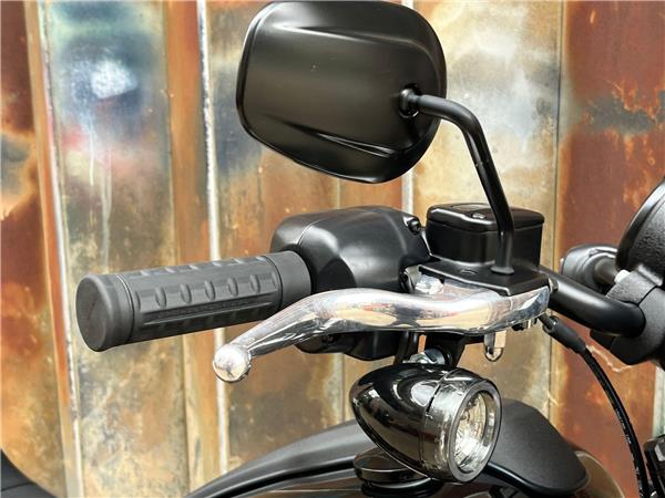 2025 Harley-Davidson Softail