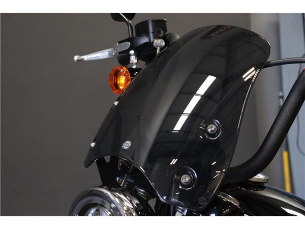 2023 HARLEY-DAVIDSON SOFTAIL FXBBS STREET BOB 114