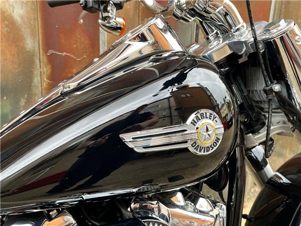 2023 Harley-Davidson Softail