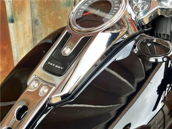 2023 Harley-Davidson Softail